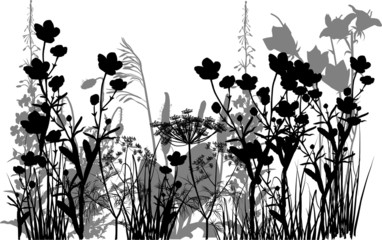 black and grey flowers in grass isolated on white