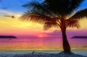 Tropical beach with palm tree silhouette at sunset.