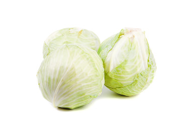 cabbage isolated