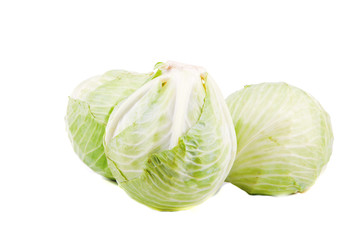 Obraz premium cabbage isolated