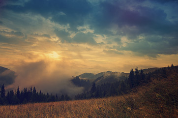 Foggy morning  landscape