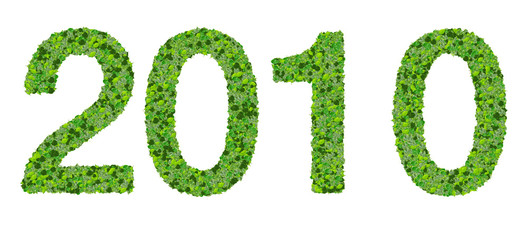 Year 2010, date made from green leaves.