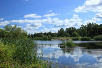 Fototapeta na wymiar Summer landscape - pond in the park