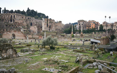Naklejka na ściany i meble Rome ruins