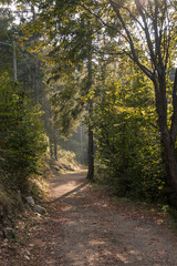 Mountain trail