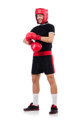 Funny boxer isolated on the white