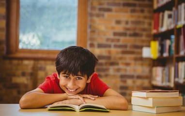 Portrait of boy reading book in library