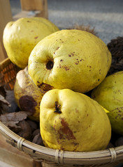 かごに積まれたカリン