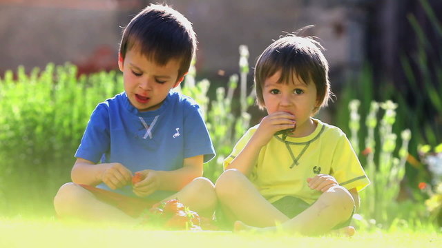 Two boys, eating strawberries at the park, late afternoon light