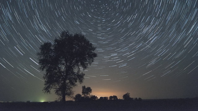 Time lapse video of startrails moving behind a tree.