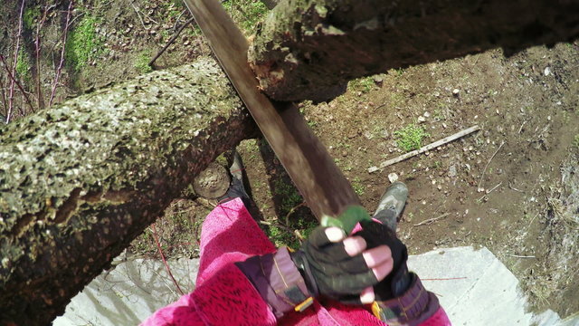 Pruning trees