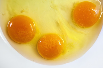 Eggs