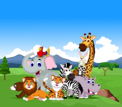 funny animal cartoon collection in the jungle