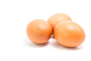 eggs