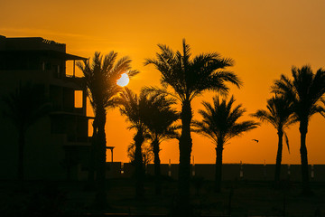 Sonne und Palmen - Hotelanlage am frühen Morgen
