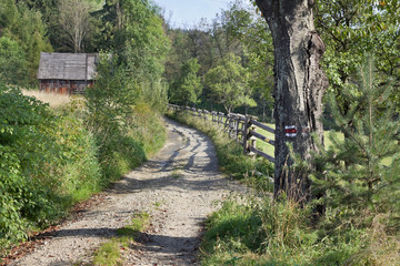 The trail to the top of Lubań Mountain, Poland