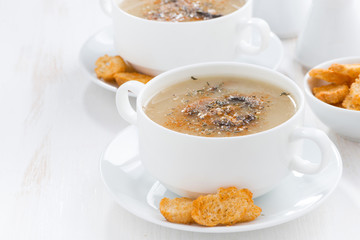 delicious mushroom cream soup with croutons