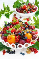 dish with different fresh seasonal fruits and berries, vertical