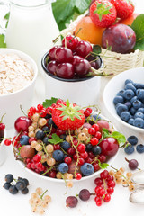 fresh berries, fruit, cereal and milk for breakfast, vertical