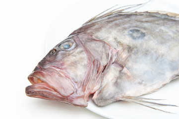 Fresh St Peter's fish on white plate head detail