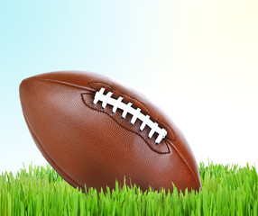 American football on green grass on light background