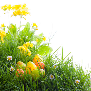 Ostern - Blumenwiese - Ostereier im Versteck
