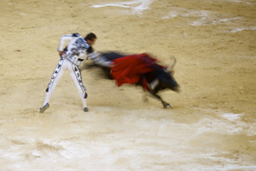 bullfighting