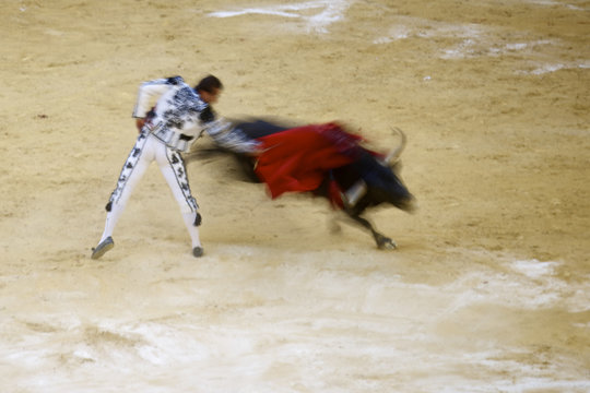 รูปภาพBullfighting – เลือกดูภาพถ่ายสต็อก เวกเตอร์ และวิดีโอ34,126 ...