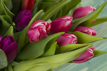 Obraz premium tulips