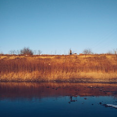 A man and his two dogs