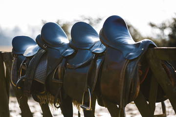 Leather saddle horse