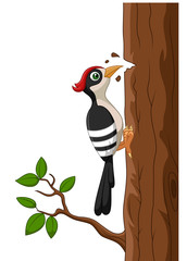 Cartoon woodpecker on a tree - obrazy, fototapety, plakaty