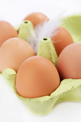Braune Hühnereier im Eierkarton