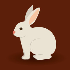 Bunny design, vector illustration.