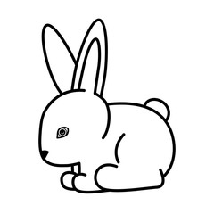 Fototapeta na wymiar Bunny design, vector illustration.