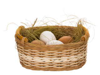 eggs in the basket