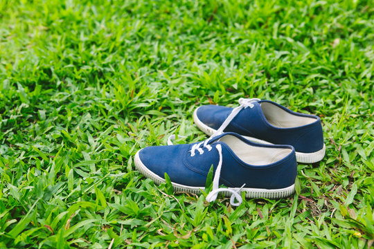 Blue sneakers in green grass