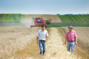 Two farmers on wheat field