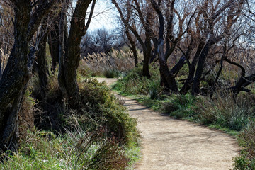 Paysage