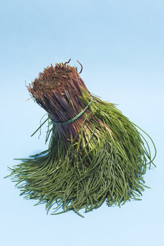 strigoli