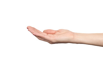woman hand palm up isolated over white
