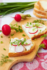 Sandwich with cottage cheese and radish