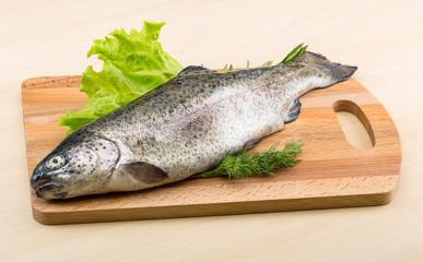 Raw fresh trout
