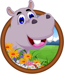 funny hippo cartoon