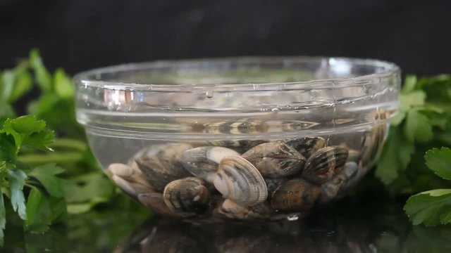 Clams