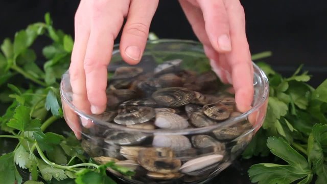 Clams - Vongole