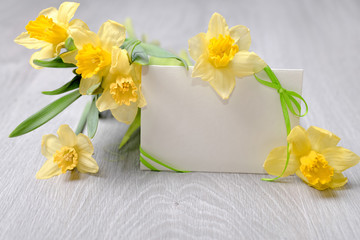 Blank paper card with ribbon and narcissus flowers