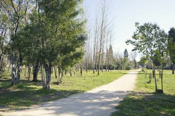 Park of the city,europa Portugal