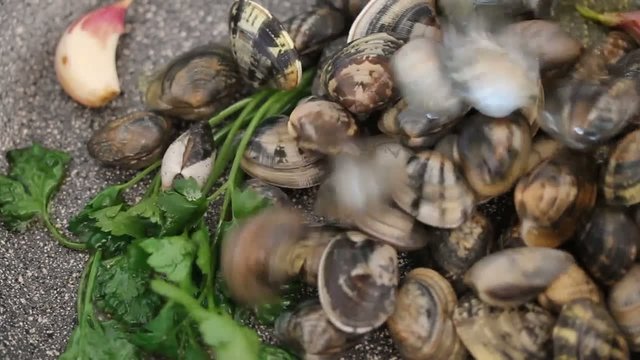 Clams in the pan