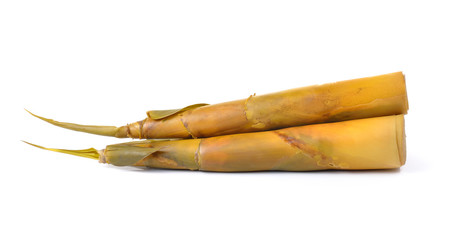 Bamboo shoot on white background
